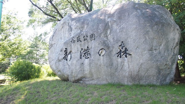 県民公園新港の森