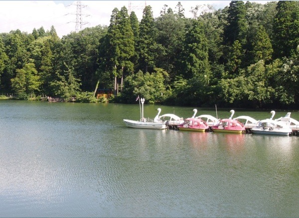 アヒルをこいで池で自然を散策