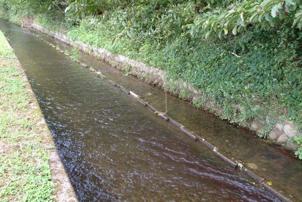 透き通った水が流れています