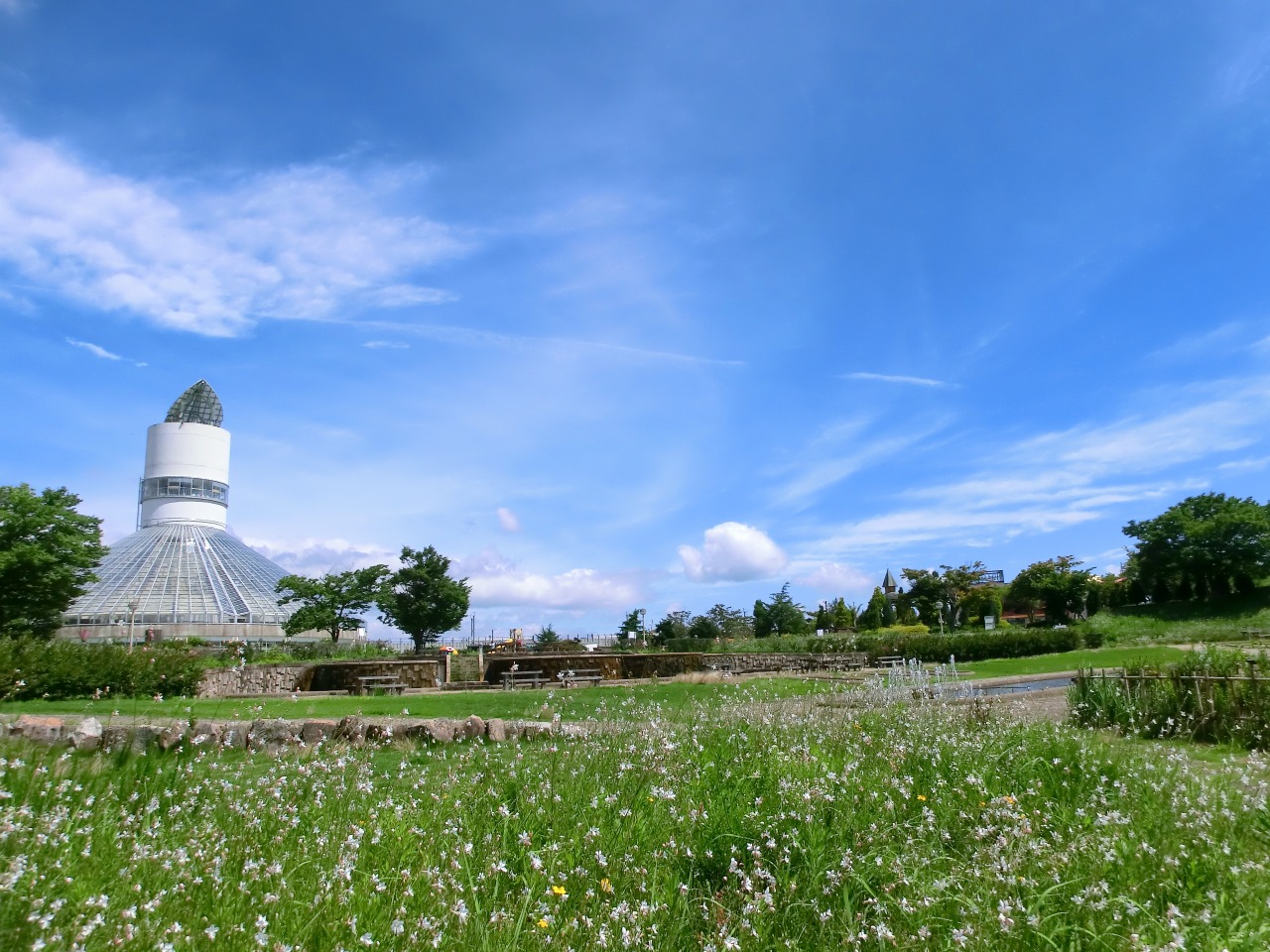 夏は水遊びも楽しい！カッパの広場