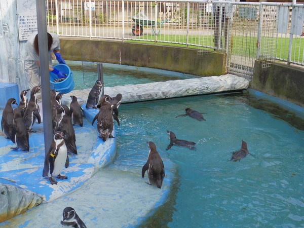古城公園動物園