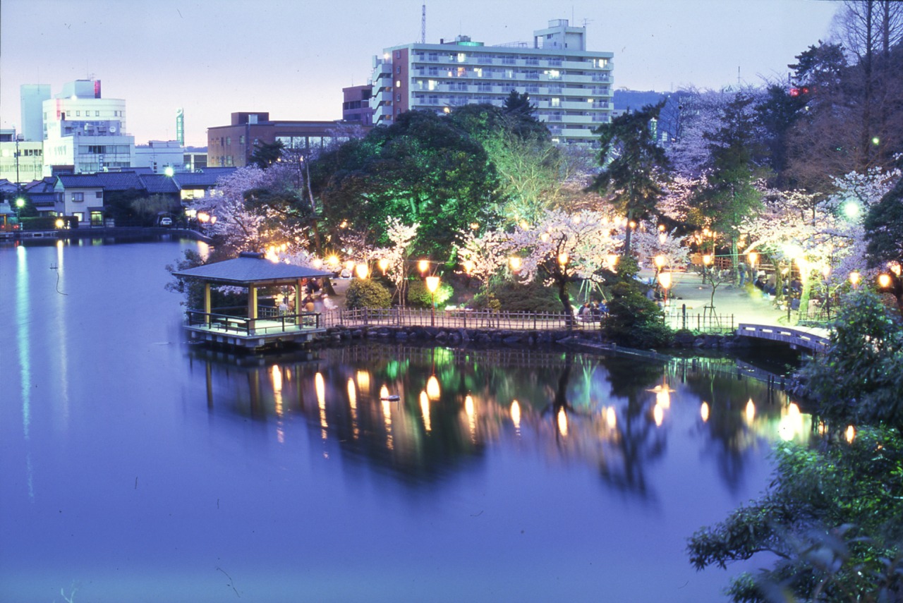 古城公園中の島夜景