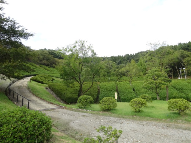 水道つつじ公園