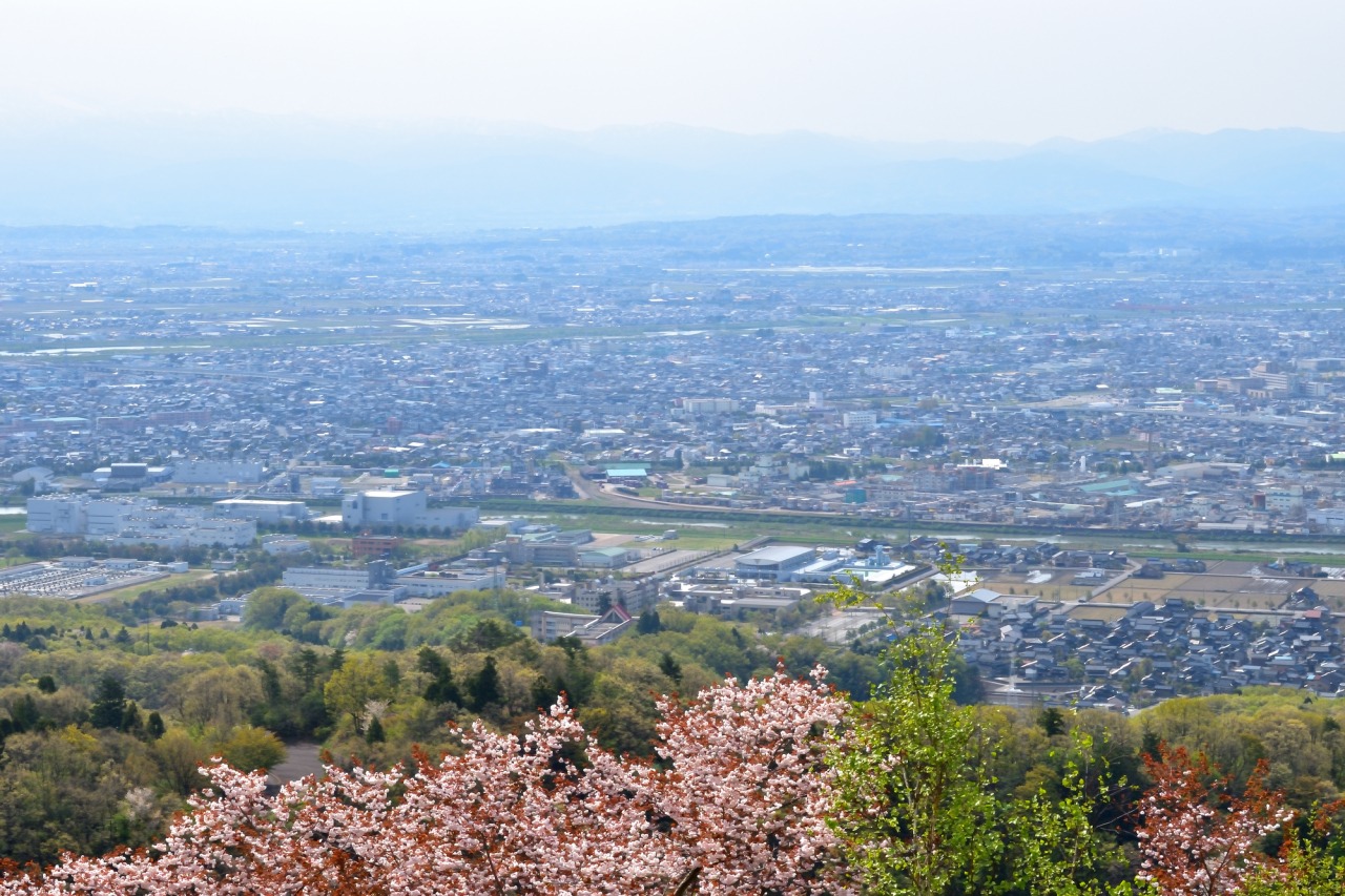 大パノラマの市街地も楽しむことができます