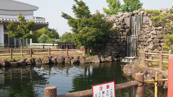 福岡鯉の里公園