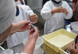 体験の様子
