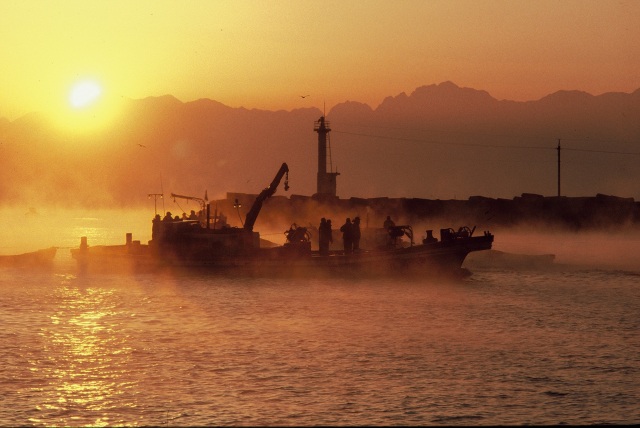 氷見 定置網漁見学