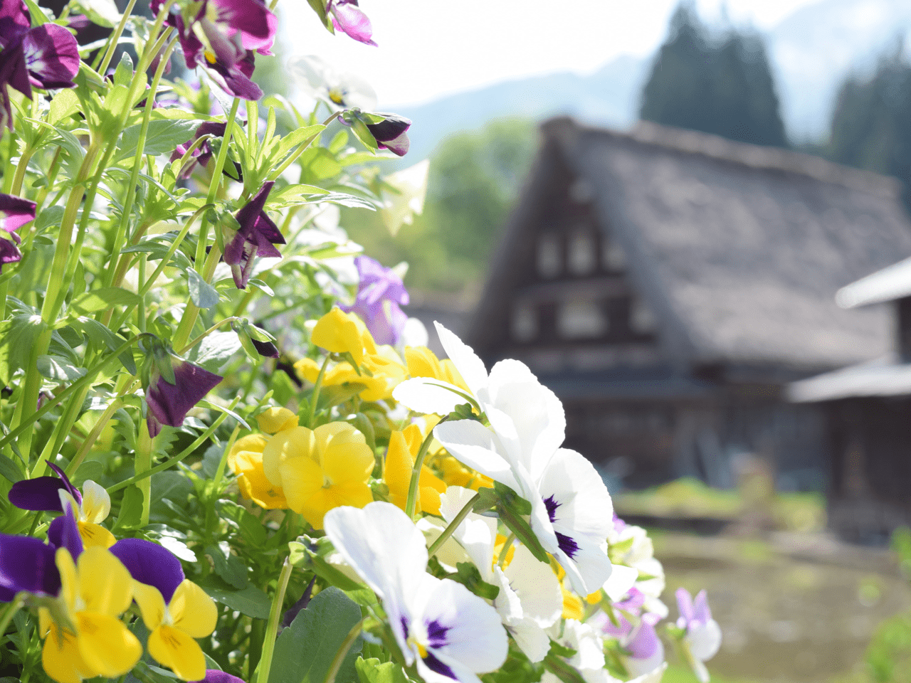 四季折々の花々も彩を添えます