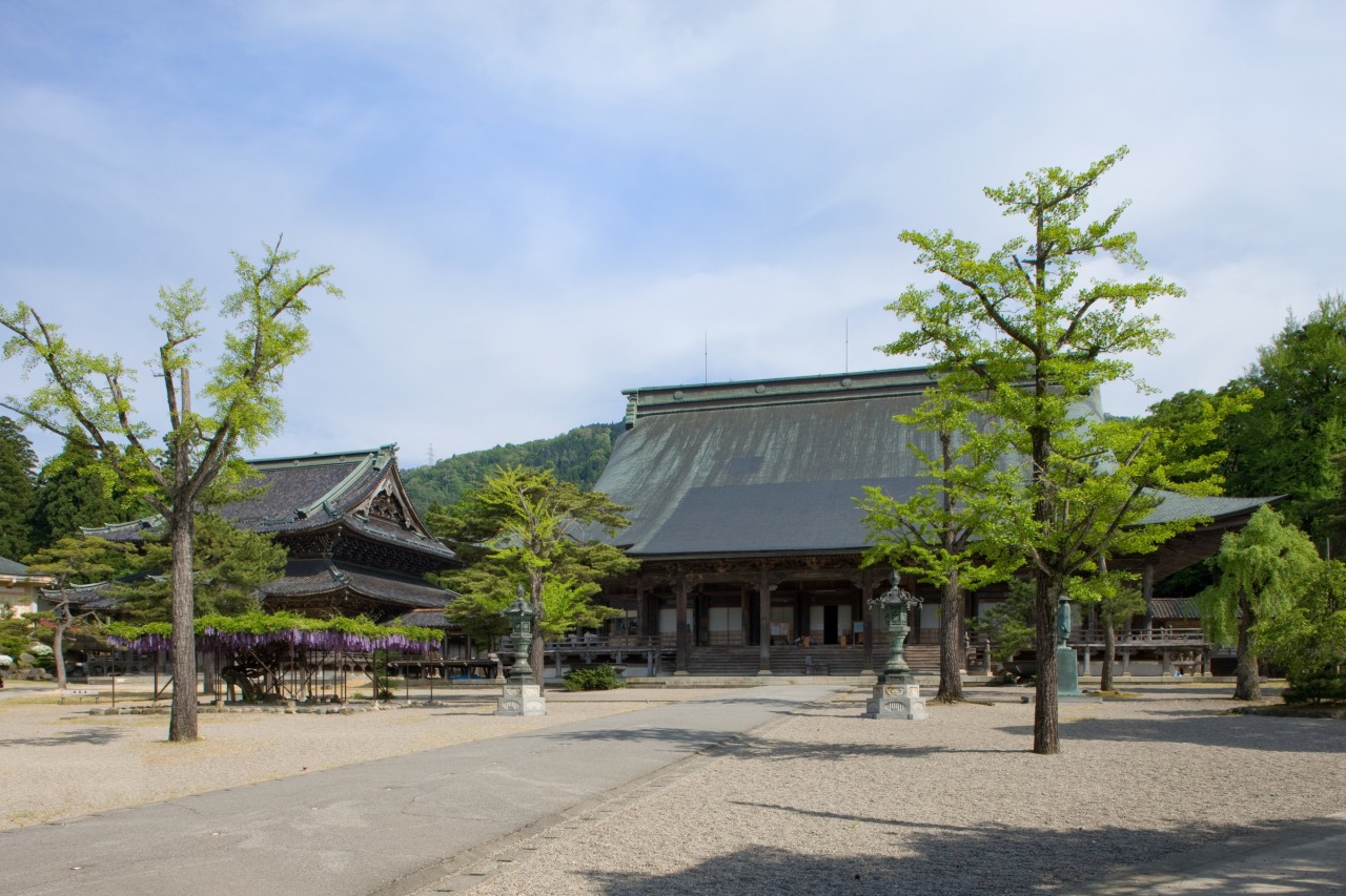 季節ごとに訪れる人々を愉しませてくれます