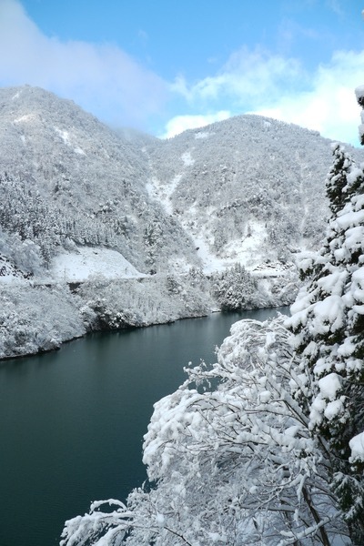 冬にみせる凛とした表情