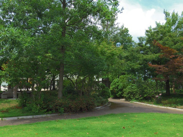 緑が気持ち良い木々の空間