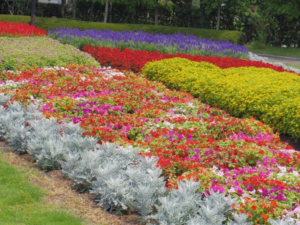 色とりどりの花々が出迎えてくれます