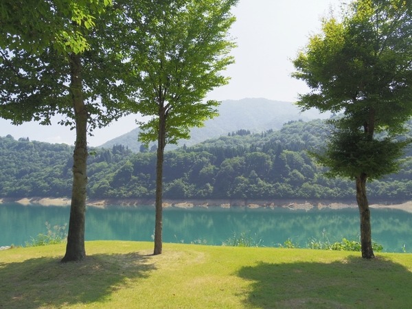 湖そばの快適なキャンプサイト