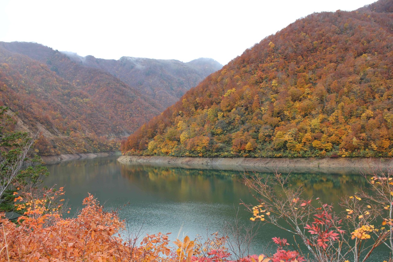 紅葉の見頃時期:10月下旬から11月上旬
