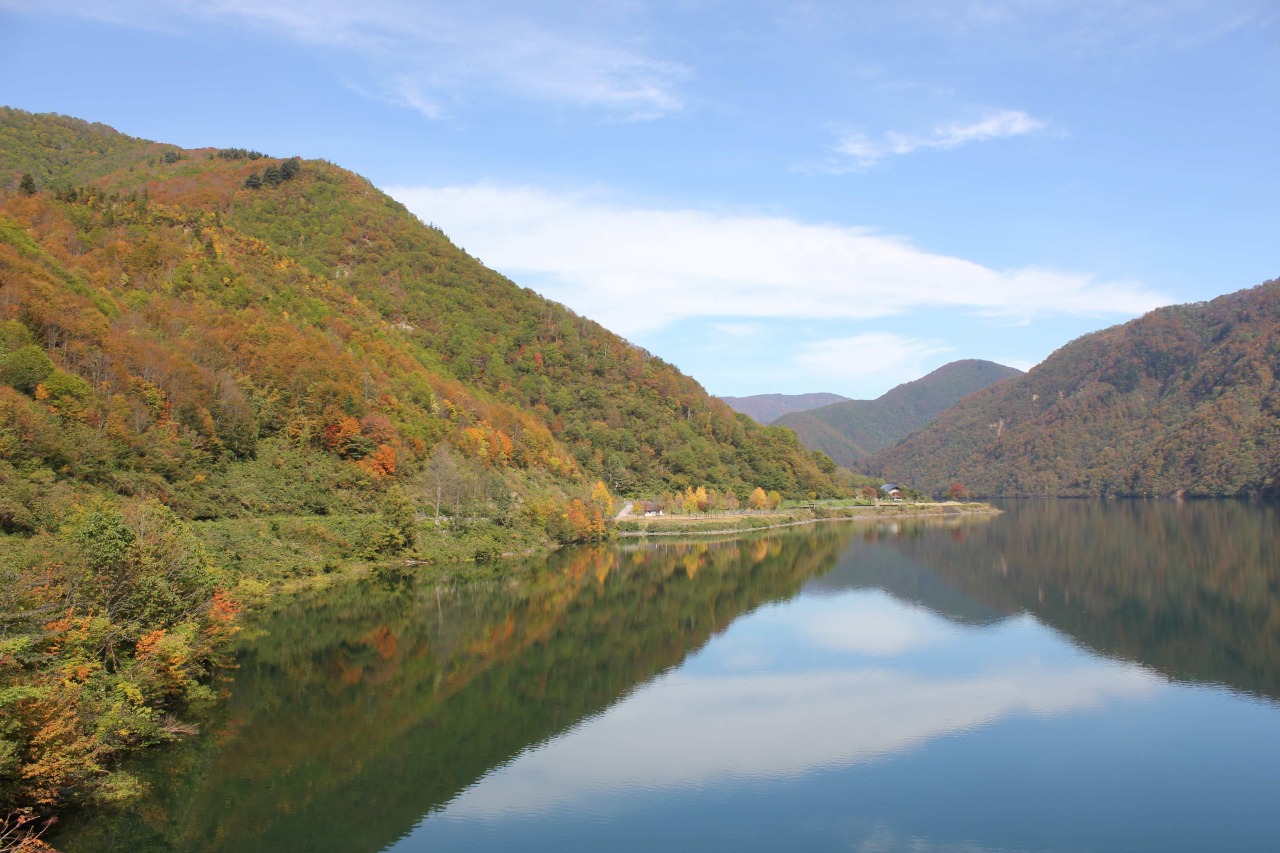 紅葉の見頃時期:10月下旬から11月上旬