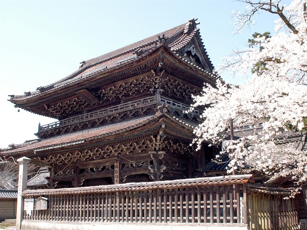 春は桜が出迎えてくれます
