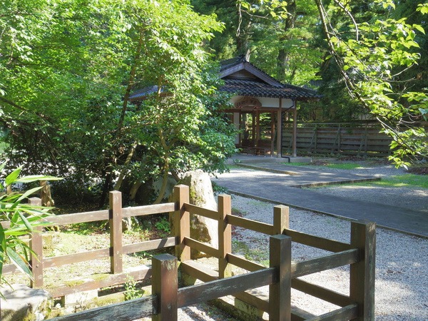 木陰が気持ち良い敷地内