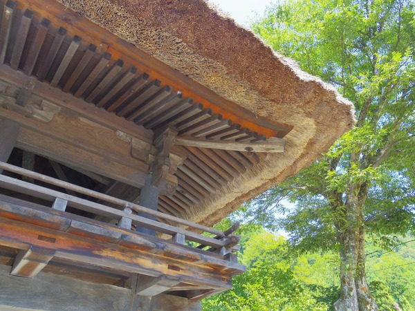 細部を見れば長い歴史を実感