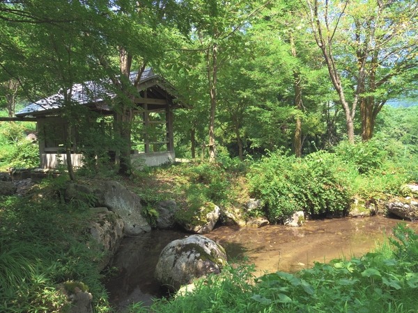 近くには水と緑にあふれた公園が