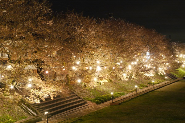 ふくみつ河川公園