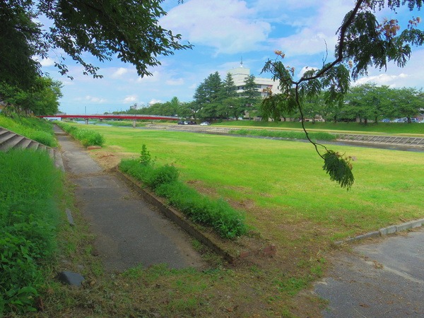 木陰でゆっくり過ごすのも○
