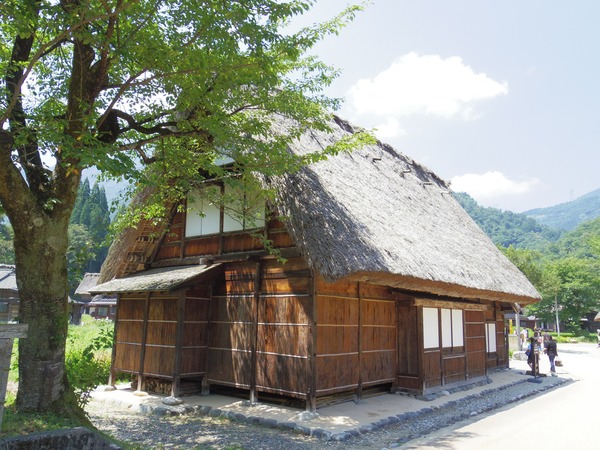 裏には木がありまた違った雰囲気