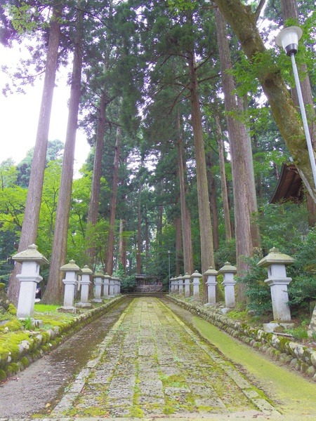 神聖な空気に満ちた参道