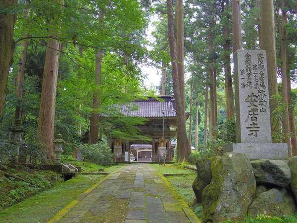 苔むした境内はまるで別世界