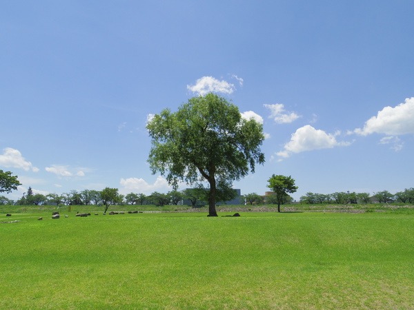 コース横は広々とした芝生広場