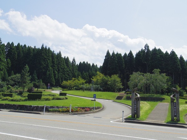 広大な森への入り口です