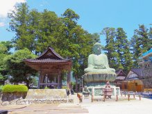 境内に圧倒的な存在感で鎮座しています