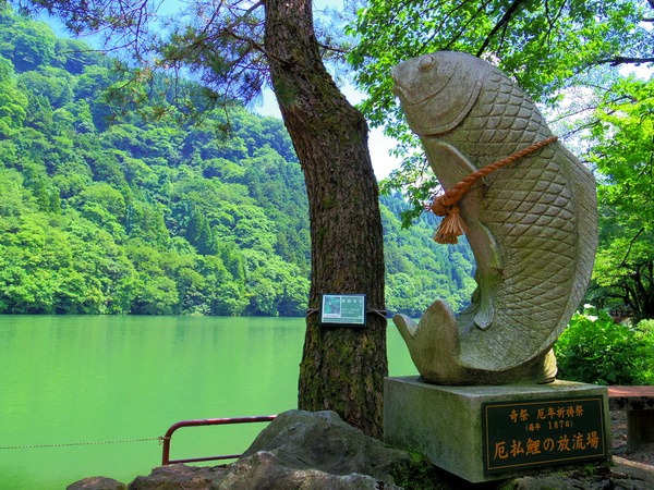 美しい湖面を見ながらの散策