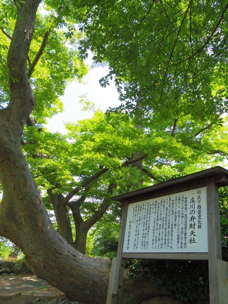 園内ひは木々に囲まれた神社が