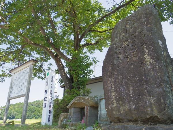 桜の老木がやさしく見守ります