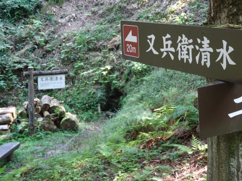 緑の中で静かに湧き出る名水