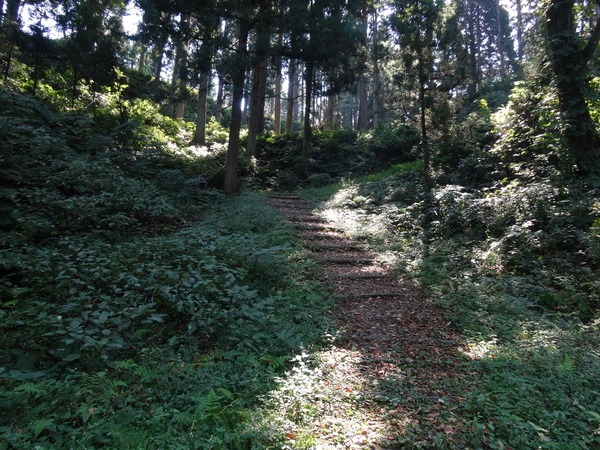 やや急な坂を登ります