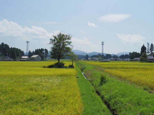 田んぼのあぜ道にあります