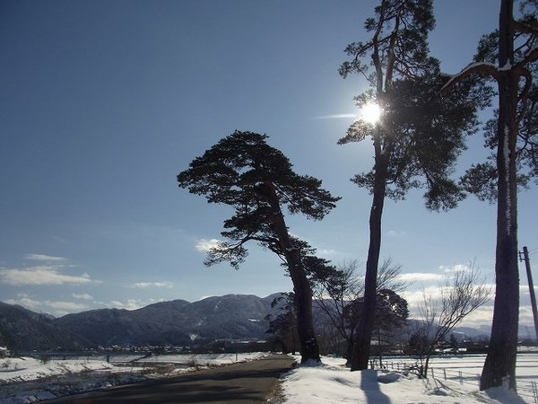 雪景色の松川除堤防