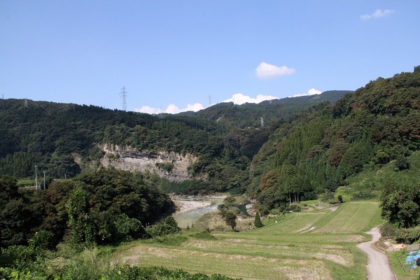 庄川沿いの山肌に見ることができます
