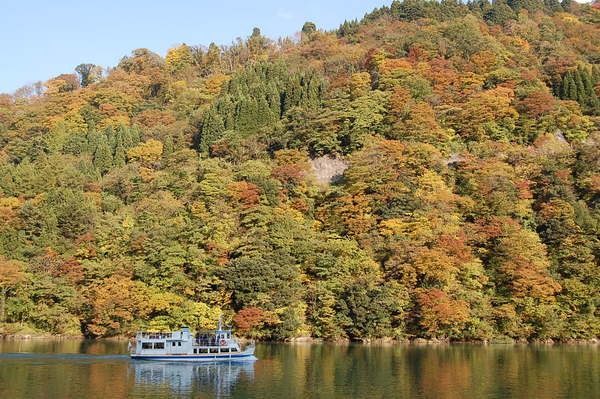 庄川峡が色づく紅葉シーズン