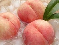 自家農園でつくったみずみずしい桃