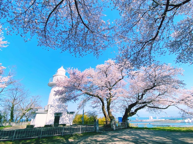 岩崎ノ鼻灯台