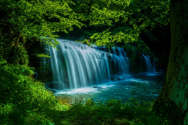 宮島峡