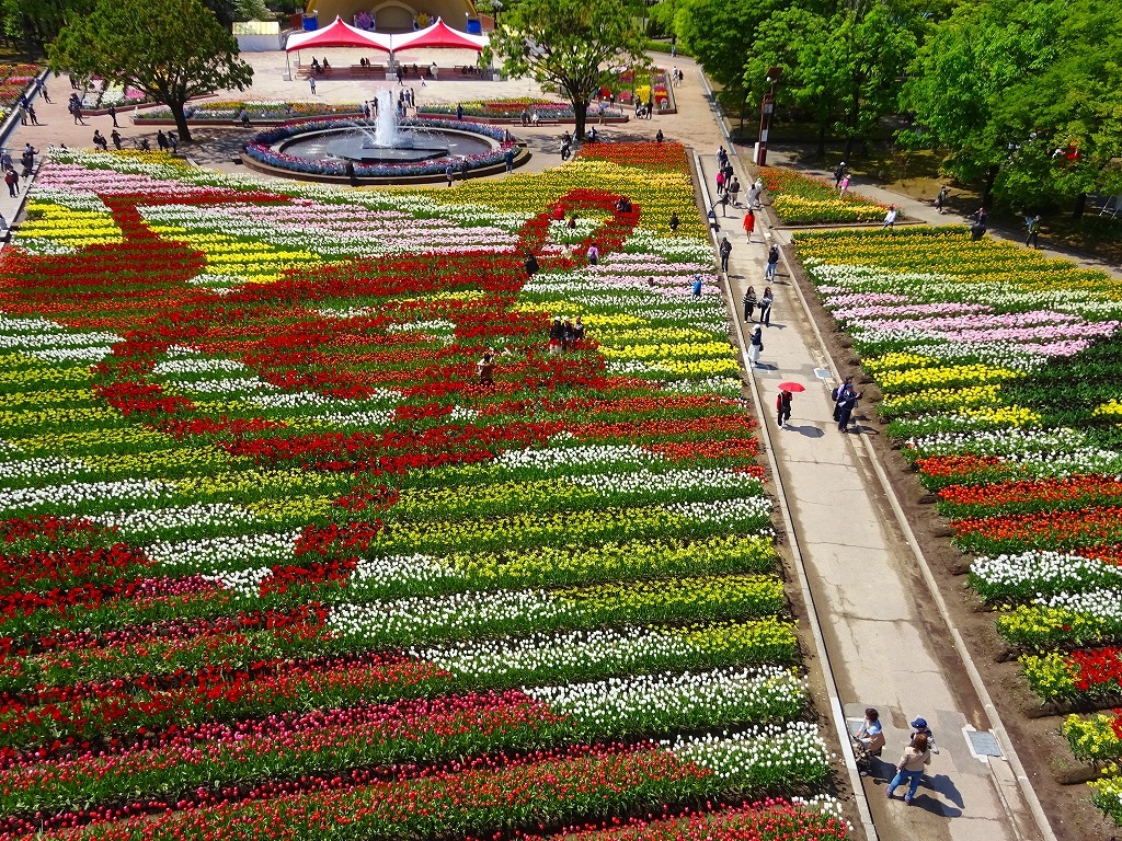 とやまビューポイント「チューリップタワー から見る 花の地上絵」