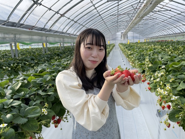 遊花園