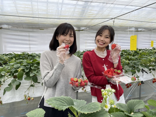 観光農園うめかのお庭
