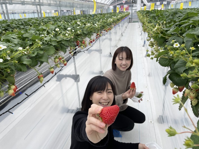 株式会社宇川農産
