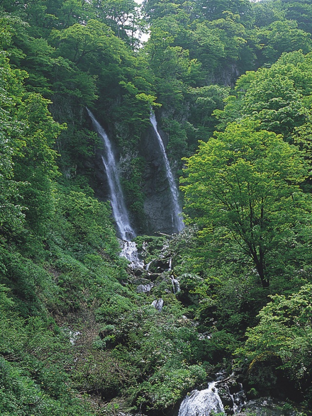 夫婦滝