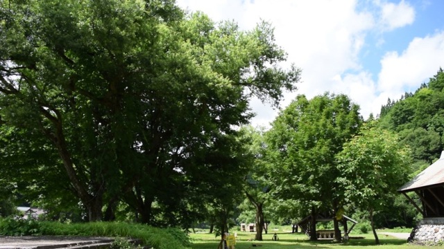 【休園】利賀国際キャンプ場