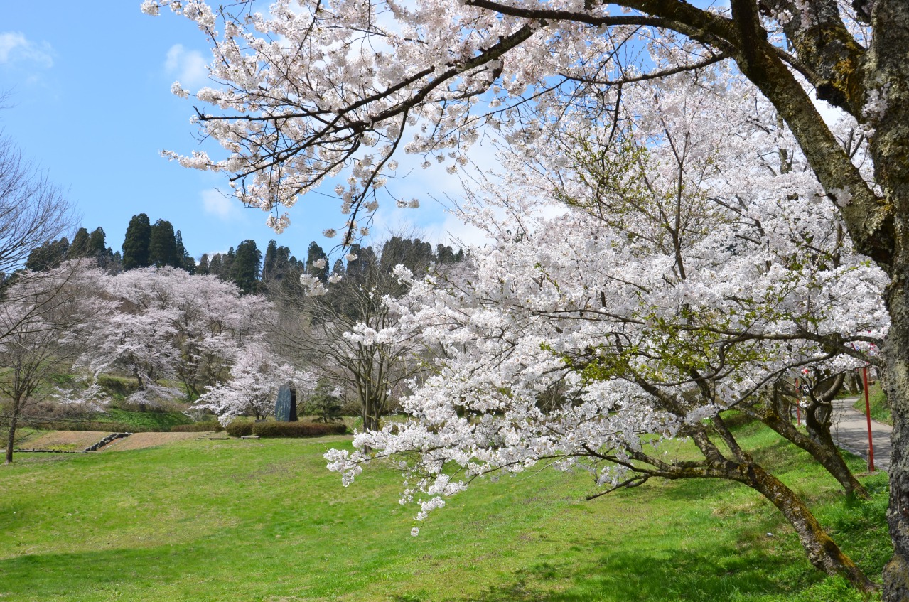 小矢部市民の憩いの場